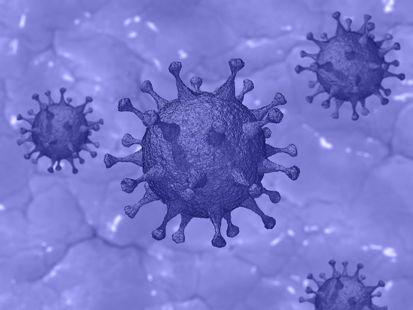Sześć typów koronawirusa. Najnowsze odkrycie naukowców