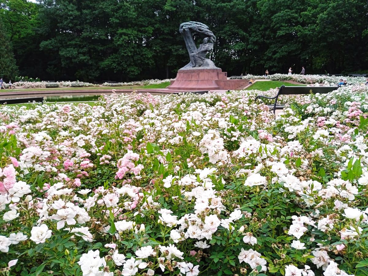 Miejscem, które najbardziej kojarzy się z Fryderykiem Chopinem jest jego pomnik w warszawskich Łazienkach Królewskich