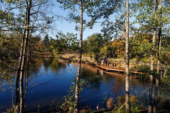 Białystok: Nowy skwer, stary problem. Nie wszyscy sprzątają po swoim psie