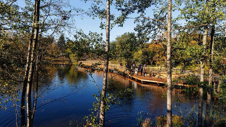 Mieszkańcy chwalą sobie nowy teren rekreacyjny na osiedlu Bema. Zwracają tylko uwagę na problem psich kup