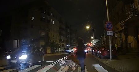 Chciała przejść z psem przez ulicę. Fatalne zachowanie kierowców