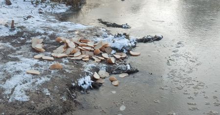 Niepokojący widok w Poznaniu. Ktoś zrobił to pewnie w "dobrej wierze"