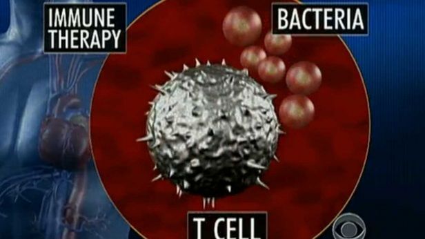 Białaczka ostatecznie pokonana? [wideo] 1
