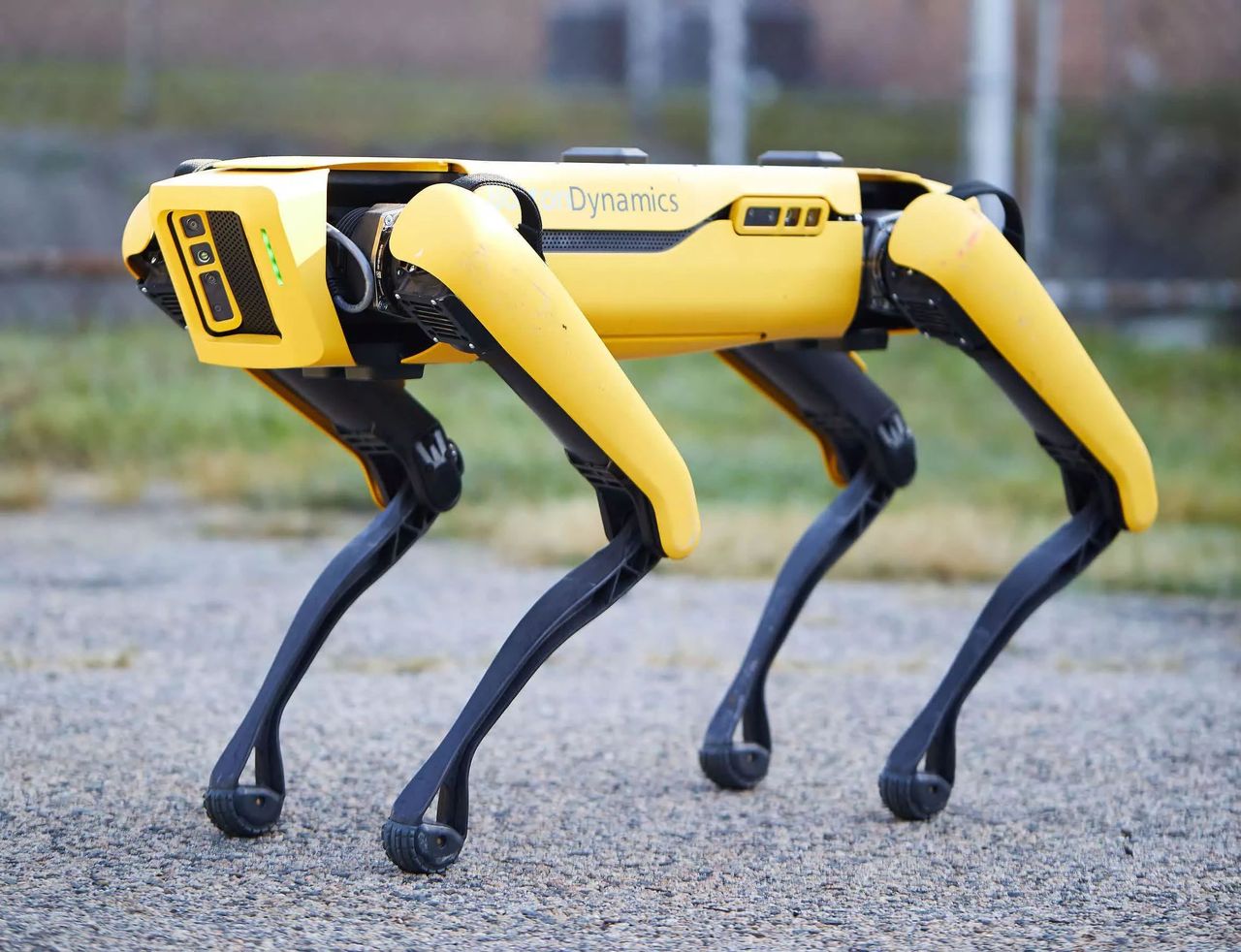 Spot. Robo-pies od Boston Dynamics