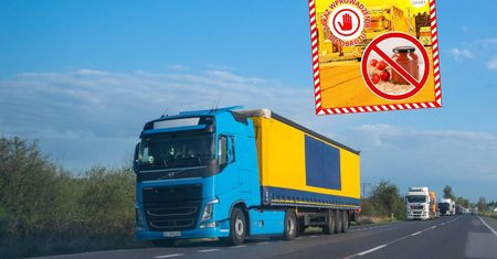Służby zatrzymały kolejne produkty z Ukrainy. Wykryto w nich pleśń