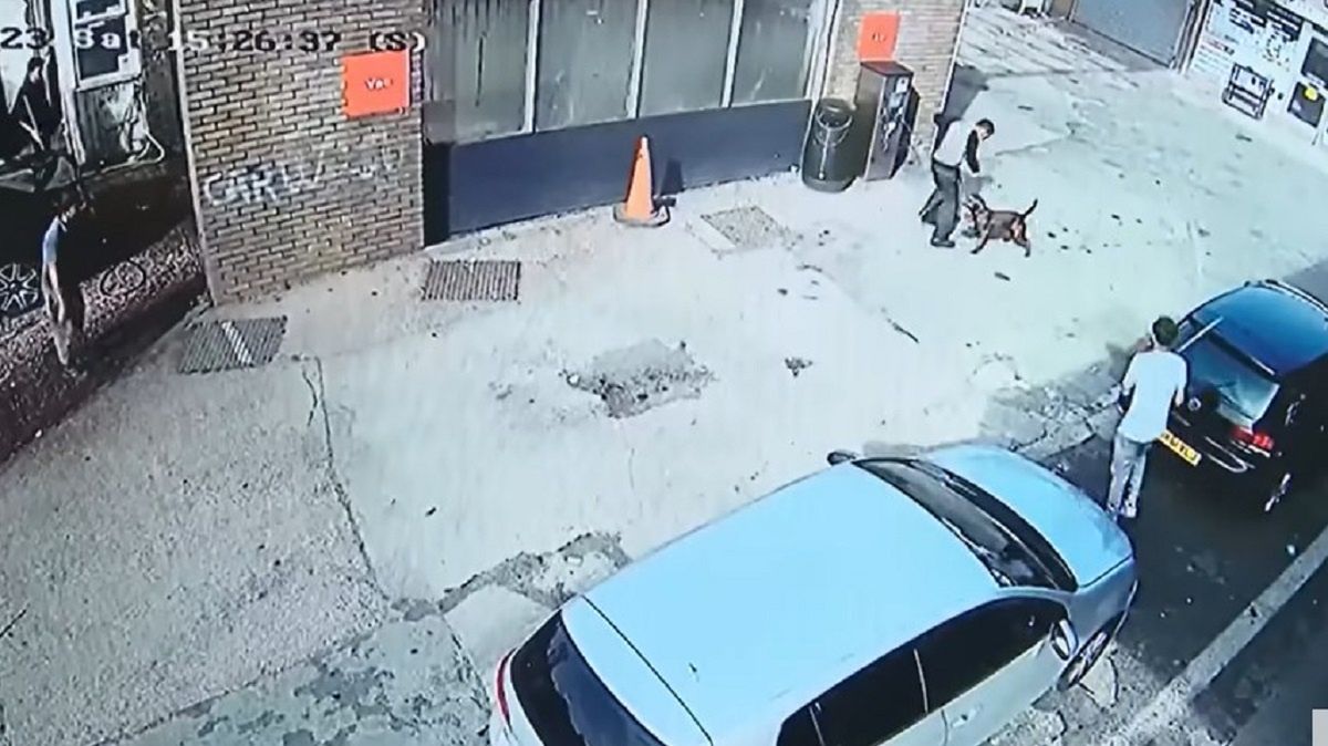 Pies pogryzł 11-latkę. Szokujące kulisy zdarzenia. 