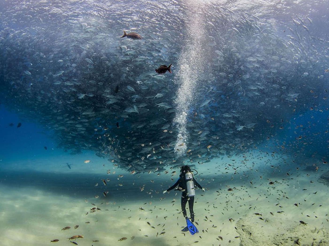 Zobacz najpopularniejsze zdjęcia National Geographic 2015 roku 18
