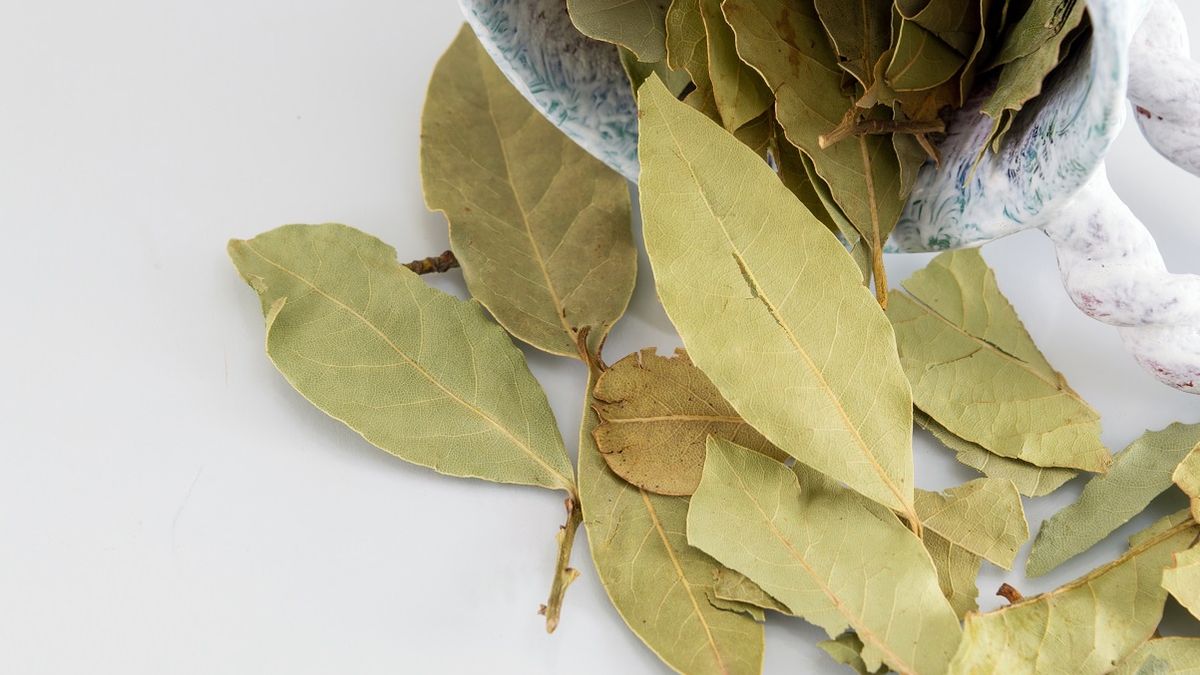 Jak wykorzystać liście lauowe w domu?