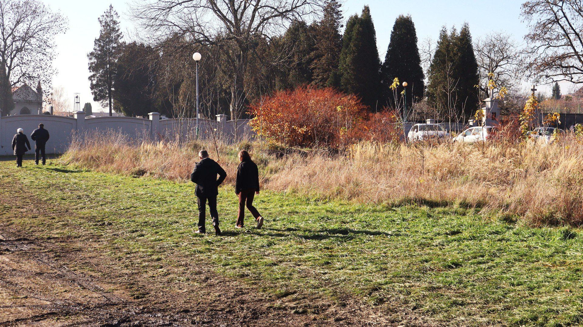 Tutaj jak w soczewce widać granice pomiędzy działką miejską i prywatnymi