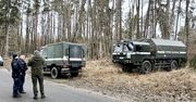 Dziki odkopały arsenał z II wojny światowej! Saperzy musieli interweniować