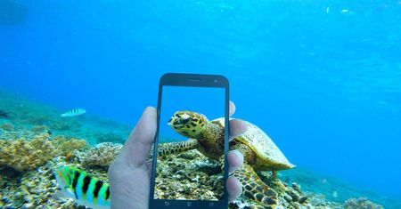 Być może masz wodoszczelny smartfon i nawet o tym nie wiesz
