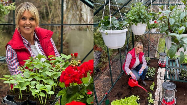 Tak mieszka Ewa Wachowicz