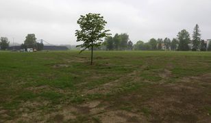 Bielsko-Biała. Czesi wyburzyli elektrownię. Zamiast kominów, będą drzewa