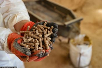 Nawet 4 mln ton pelletu. "Zyska pan Putin i pan Łukaszenko"