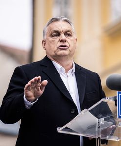 WP z Budapesztu: "Niesprawiedliwe" albo nawet "oszukane" wybory Orbána. Rekordowa liczba obserwatorów na Węgrzech