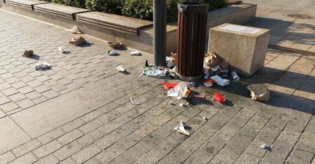 Przepełnione kosze i porozrzucane śmieci. Ptaki wybebeszają kosze w pobliżu popularnej restauracji