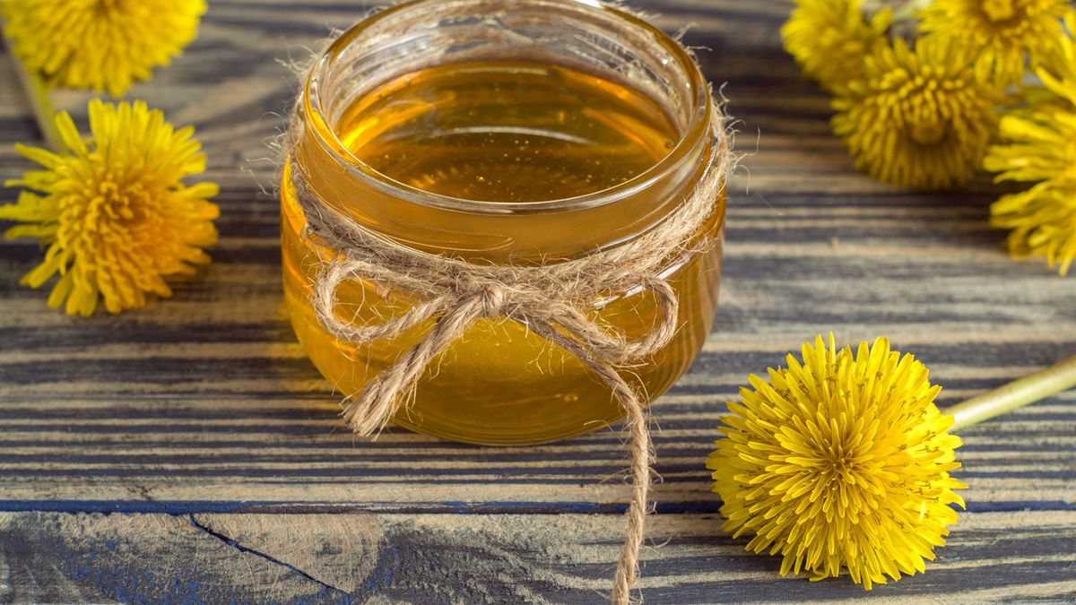 Jakie właściwości ma mniszek lekarski?