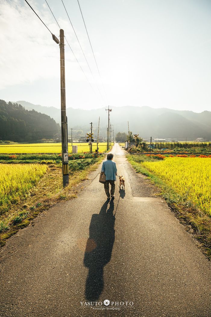 Piękna przyjaźń staruszki i jej psa utrwalona na zdjęciach 13