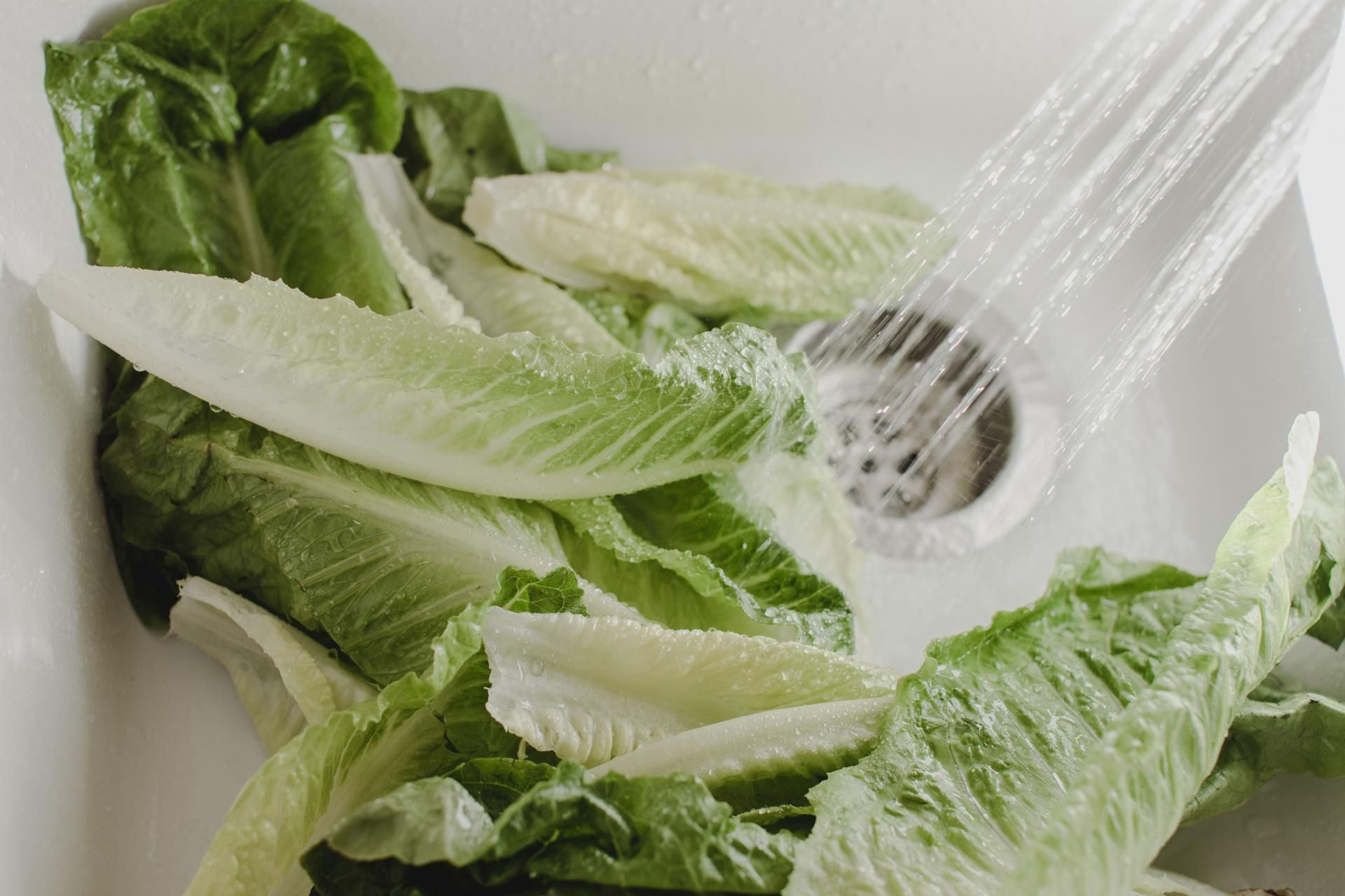 Nawet w najczystszej kuchni kryje się wiele szkodliwych drobnoustrojów