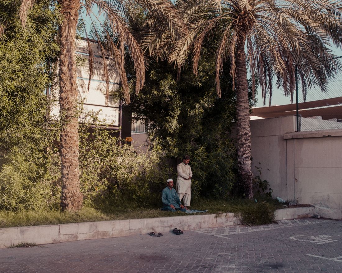 Dubaj zmienia się piekielnie szybko. Te zdjęcia pokazują ogrom zjawiska 14