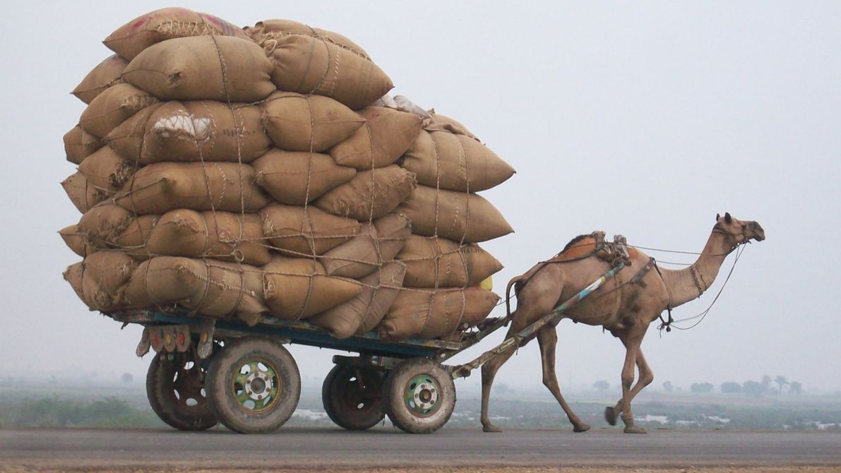 Transport.