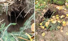 Migranci wykopali tunel na granicy z Białorusią