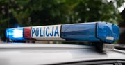 Dziupla samochodowa zlikwidowana pod Pabianicami. Policja odzyskała auta
