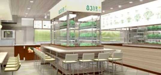 Zdrowa żywność w fast foodach? W Japonii to możliwe! 3