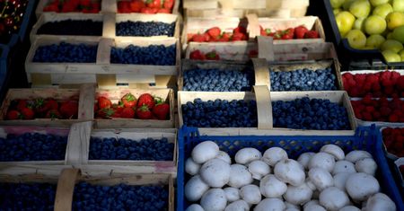 Błąd polskich producentów. "Borówka amerykańska będzie sprowadzana"