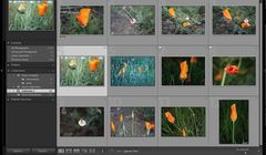 Lightroom 6 od Adobe z poprawioną wydajnością i nowymi funkcjami