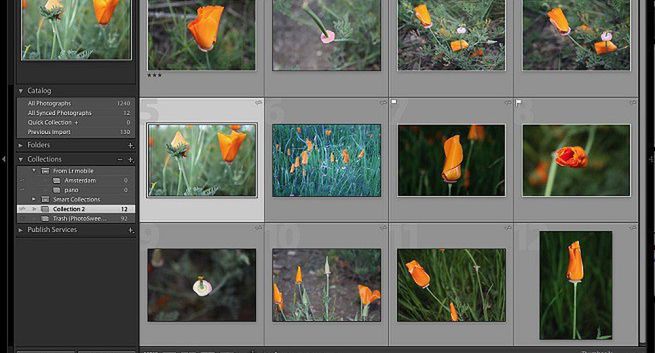 Lightroom 6 od Adobe z poprawioną wydajnością i nowymi funkcjami