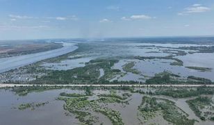 Ceny znów wzrosną. Bestialstwo Rosjan odczuje cała Europa