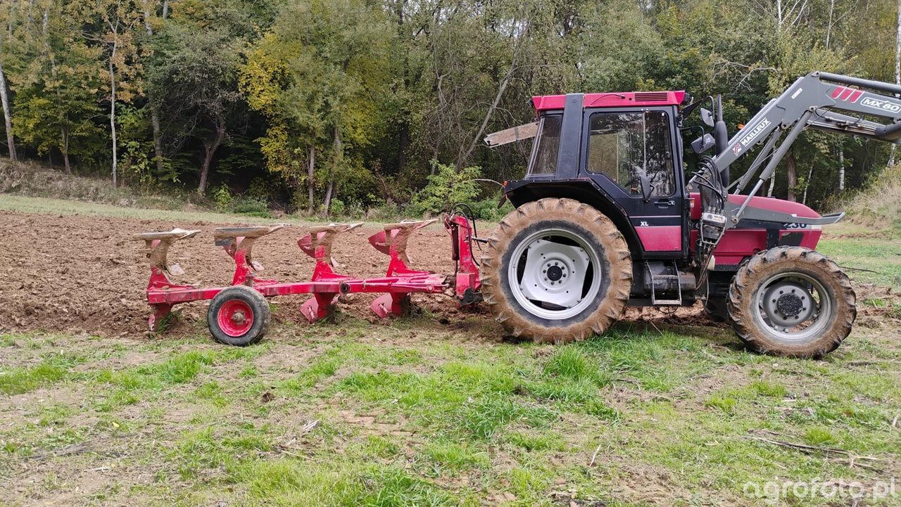 Koniunktura w rolnictwie 2025 spada. Rolnicy coraz bardziej pesymistyczni