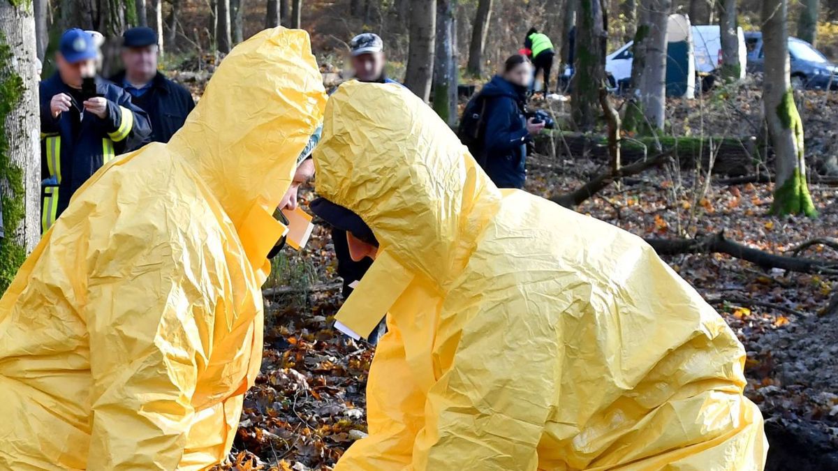 Przez ASF Niemcy tracą odbiorców mięsa. Zdjęcie ilustracyjne