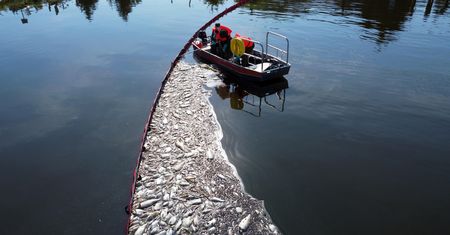 Odra znowu zagrożona. Polacy chcą natychmiastowych działań