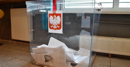 Wybory 2020. Obserwatorzy mogą przyjechać do Polski. "Mamy obowiązek ich wpuścić"
