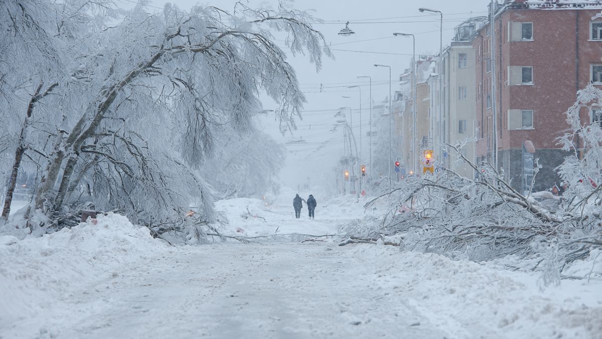 śnieżyce