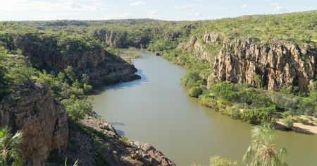 Australia. Zamiast ryby złowił krokodyla
