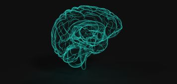 Dopamine – the motivation and euphoria neurotransmitter. How to boost dopamine levels?