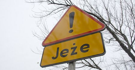 Znaki ostrzegające przed jeżami pojawią się na lubelskich ulicach. Gdzie dokładnie?