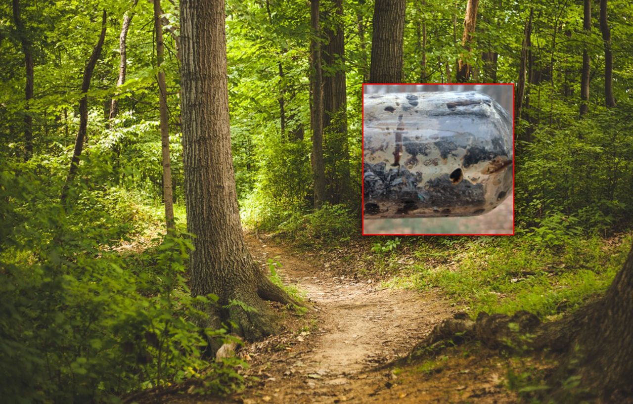 Ktoś zostawił butelkę. Leśnicy pokazali, co stało się później