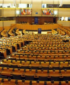 Kiedy wybory do Parlamentu Europejskiego? Kogo wybiorą Polacy?