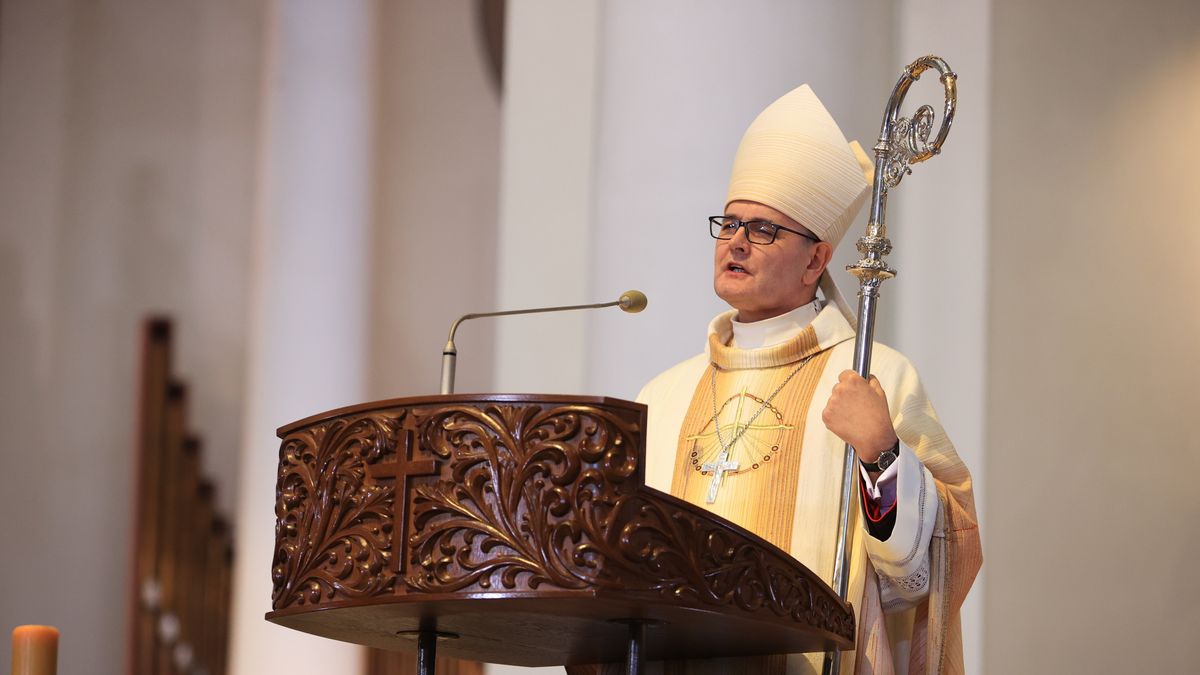 ingres arcybiskupa Andrzeja Przybylskiego do katowickiej katedry
Jarek Praszkiewicz
archikatedra, duchowie�stwo, duchowny, ingres, katedra, metropolita, religia, wiara