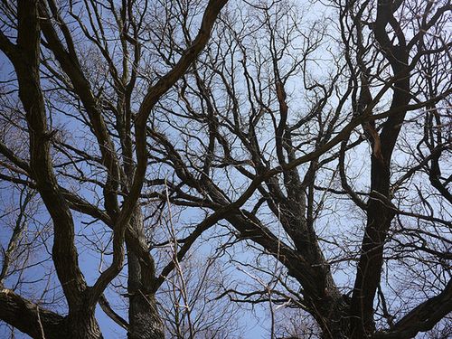 Panasonic Lumix GF2 - test [część 2] 25