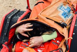 Ranny rowerzysta w Beskidach. Zachowanie jego psa łamie serce