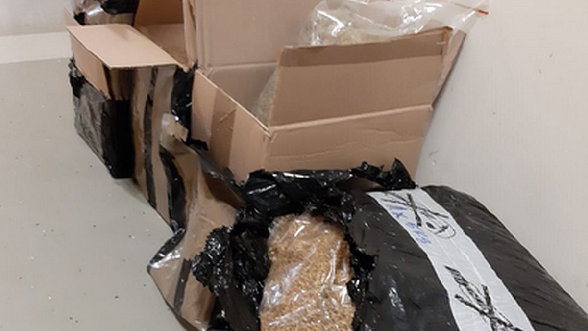 Nielegalny tytoń padł łupem Skarbówki. Wpadli po kontroli u kuriera