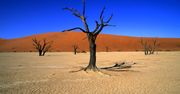 Namibia - Afryka dla początkujących