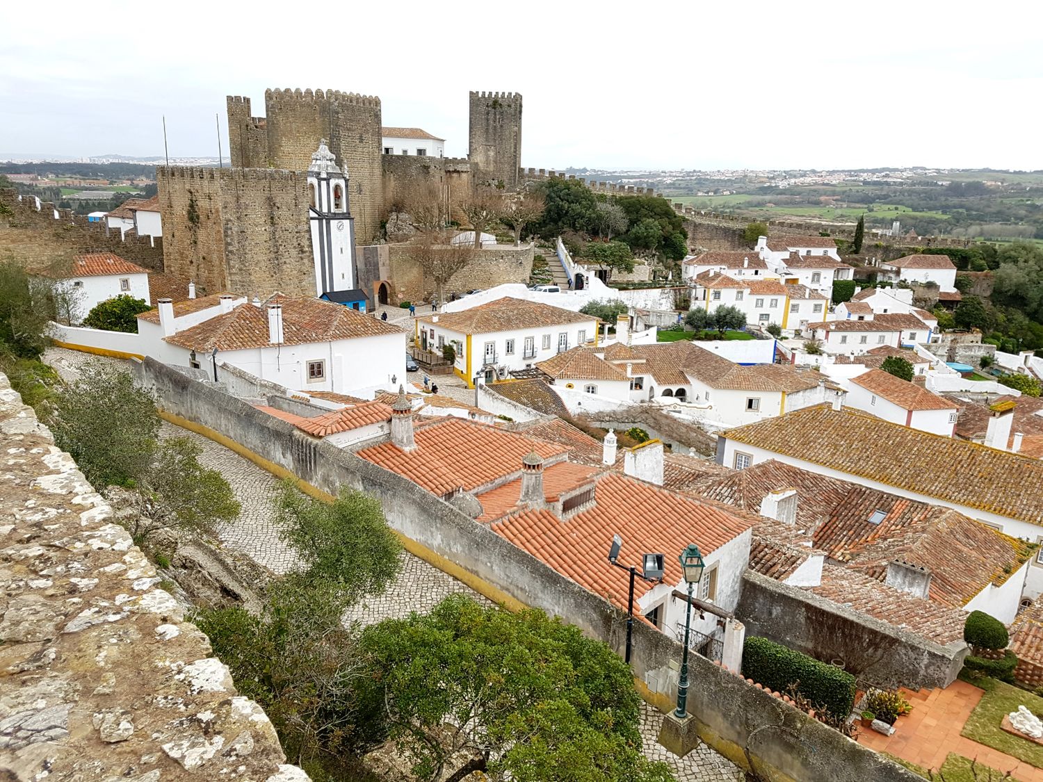 Obraz