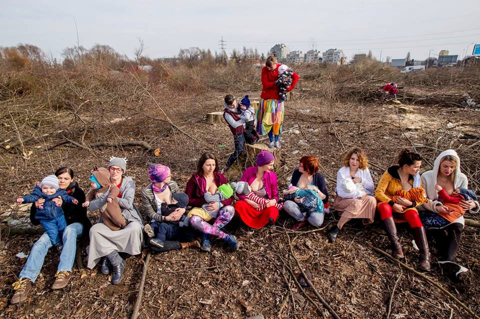 Matki Polki na Wyrębie lecą do papieża. Chcą, żeby upomniał się o polską przyrodę