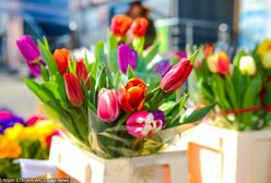 Życzenia na Dzień Kobiet 2019. Najpiękniejsze życzenia, wierszyki i rymowanki na 8 marca